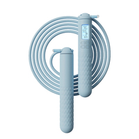 Corde à sauter intelligente à LED, corde à sauter en fil d'acier réglable, compteur numérique, équipement d'entraînement physique, logo personnalisé OEM