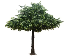 Árvore ficus artificial personalizável de 3-15m de altura, grande árvore de fibra de vidro para uso ao ar livre, à prova d'água, metal retardador de fogo, decoração, moldura de madeira