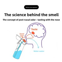 Bouteilles isothermes anti-fuite de 650 ml, gobelets personnalisés avec logo, bouteilles Tritan avec anneau aromatique, articles en gros avec dosettes