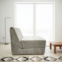 Disian Modernes Hochwertiges Komprimiertes Schlafsofa-Set Modulares Sitzsack-Sofa für Wohnzimmer