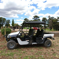 Lvcci Meilleur côte à côte 4 places Dune Buggy essence électrique Transmission automatique Type certifié CEE