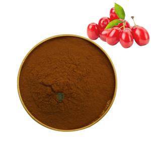 ハーブCornus OfficinalisエキスナチュラルOfficinalis <span class=keywords><strong>Fructus</strong></span> Corniドッグウッドエキスパウダー - Product Image 2