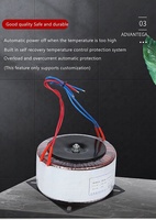 Transformateur toroïdal abaisseur de tension pour amplificateur audio, monophasé 60Hz, enroulement en cuivre, 45 0 45, fabriqué en Chine