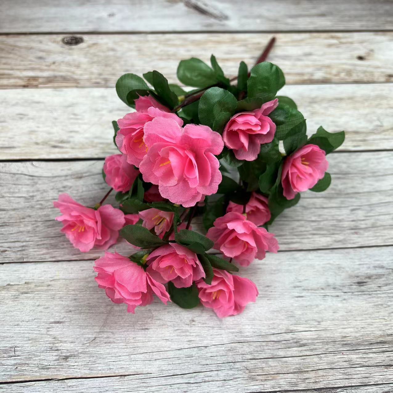 Rosa