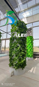 Tour de culture hydroponique agricole verticale de <span class=keywords><strong>maison</strong></span> de jardin Offre Spéciale - Product Image 5