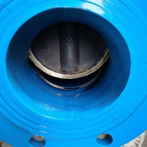 วาล์วประตูเหล็กดัดแบบแกนทองเหลืองยี่ห้อ Longyao Shuangyong รุ่น Z41T-10 16Q สำหรับน้ำ แบบก้านขึ้น โครงสร้างแข็งแรง - Product Image 3