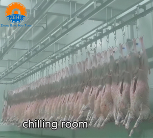 Ligne d'abattage de moutons halal clé en main, solution complète pour l'abattage de chèvres, équipement de transformation d'abattoir, machinerie d'abattage automatique - Product Image 6
