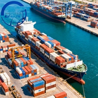 Service de logistique de transitaire maritime porte-à-porte Big Start : LCL + Express pour marchandises dangereuses, de Shenzhen (Chine) aux États-Unis