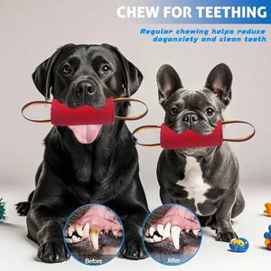 काम करने के लिए भारी ड्यूटी बेलनाकार च्यू टग टॉग टॉग टॉग टॉग टॉग खिलौना - Product Image 5