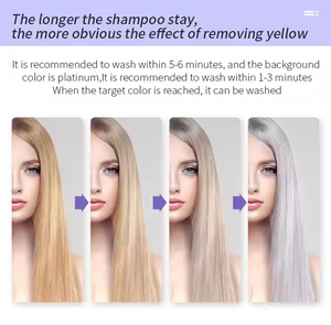 Etiqueta privada Tinte Color Hair Remove Purple Shampoo Anti Yellow Brassy <span class=keywords><strong>Sin</strong></span> sulfato Queratina Purple Shampoo - Product Image 5