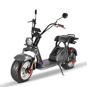 China Trade 2000w 60v 20ah Lithium Battery Citycoco 12 Inch Tires 2 Wheel Off Road Electric Bike Scooter With 2 People Seats