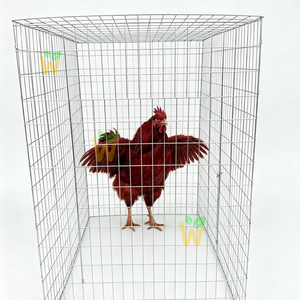 Jaula Genérica para Gallos 50x50 de Alta Resistencia, Galvanizada, de Malla Soldada para Aves de Corral, Gallinas y Gallos - Product Image 1