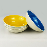Services de vaisselle de tous les jours en mélamine ronde de couleurs assorties pour le petit-déjeuner, les céréales, les salades