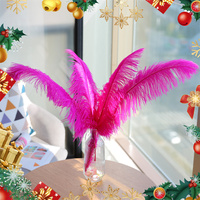 50-55cm choquant rose plumes d'autruche Drabs décoration pour Costumes de carnaval décoration de Table teint couleur plumes d'autruche