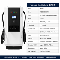 Borne de recharge rapide DC pour véhicules électriques Wanbo-567 120 kW à double pistolet, CCS2, OCPP 1.6, certifiée CE