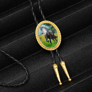 Dasi <span class=keywords><strong>Bolo</strong></span> kulit coklat hitam asli dasi Bola barat batu permata warna-warni kristal pria kalung dasi - Product Image 2