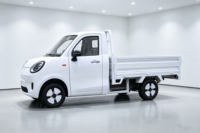 Mini pick-up électrique avec benne, camion électrique 4 roues pour adultes, pour livraison, logistique agricole et urbaine, 3000W