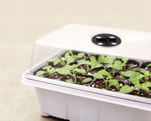 Haute qualité trou <span class=keywords><strong>plante</strong></span> orchidée plateaux serres <span class=keywords><strong>bassin</strong></span> succulentes plateau de semis facile à nettoyer, plantation réutilisable - Product Image 1