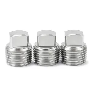 Oem Custom And Standard Stainless Steel Ferrous Pipe Plugs With Pipe Threads 1/8 1/4 3/8 1/2 3/4 1 2 3 Nps
