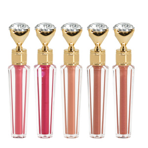 Logo Free Diamond <b>Lip</b> Gloss Plump <b>Lip</b> Tint Neutral Package European American Matte <b>Lip</b> Makeup - Product Image 1