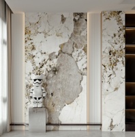 Panneau en PVC revêtu de UV Diwo, feuille de marbre pour toiture et panneaux muraux intérieurs, intérieur mural