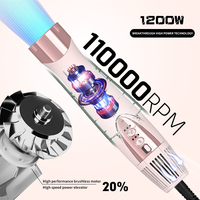 Ulelay OEM/ODM Brosse Soufflante Ionique 5-en-1 Sèche-Cheveux et Coiffant Moteur 110000 tr/min 1200W 3 Niveaux de Chaleur 3 Vitesses Usage Hôtelier et Extérieur Usage Privé