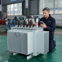 Transformateur de puissance triphasé immergé dans l'huile pour extérieur, 300 KVA, 450 KVA, 1000 KVA, élévateur de tension 11 kV, 415 V, 480 V, ISO9001, pour usage industriel