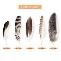 40 Plumes de Faisan Naturelles en Gros, Plumes Tachetées, 5 Styles Mixtes pour Artisanat, Bricolage, Chapeaux, Arrangements Floraux, Mariages