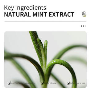 Atacado Mau Hálito Produto Tamanho de Viagem para Saúde Oral 24 Horas Duradoura Portátil Cool Mint Oral Spray Fresheners - Product Image 5