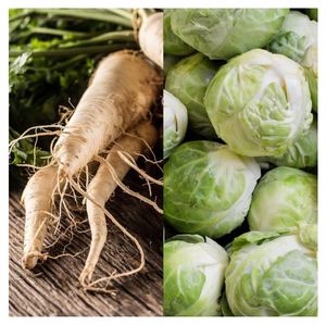 Pots de fleurs toutes saisons Lot de 8 légumes <span class=keywords><strong>d</strong></span>'<span class=keywords><strong>hiver</strong></span> pour <span class=keywords><strong>d</strong></span>élices culinaires pour l'<span class=keywords><strong>extérieur</strong></span> et la maison - Product Image 3