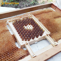 Apiculture Apiculteur Boîte d'élevage de reines d'abeilles Boîte d'élevage de reines d'abeilles