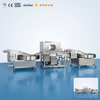 Automatische medium kleine chocolade-coatingmachine met chocoladesmelt tank voor de productie van biscuit, brood en snacks.