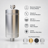 Kit de filtre à eau pour douche en alliage d'aluminium pour le bain, les soins de la peau et des cheveux