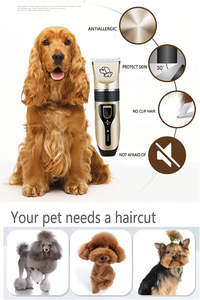 ชุดตัดขนสัตว์เลี้ยง Petdom Sales กำลังสูง ไร้สาย สำหรับมืออาชีพ - Product Image 4