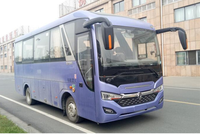 Autobus Dongfeng 32 places, diesel, transmission automatique, personnalisable, à vendre