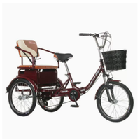 Tricycle à pédales léger à 3 vitesses pour adulte, vélo à 3 roues, tricycle de loisirs et de transport