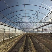 Serre commerciale intelligente à simple portée pour la culture de tomates, serre en polycarbonate