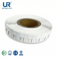 Étiquette RFID UHF anti-métal UR Tag R6P 30x12mm 860-960MHz étanche/résistante aux intempéries pour l'industrie de la santé et les entreprises