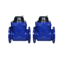 Compteur d'eau mécanique Yuxiang DN65 IP68 à brides pour traitement des eaux usées, pièces immergées en acier inoxydable SS316, 1.0/1.6MPa, 2.5M3/H