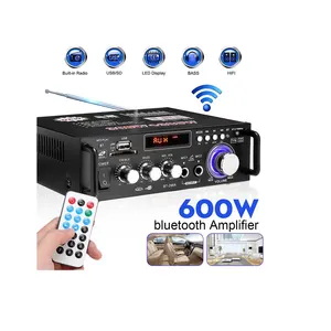 bluetooth mobil amplifier 12v Suppliers-Kualitas Tinggi 600W Mini Audio HiF Digital Power Usb Penguat Cocok untuk Mobil Rumah