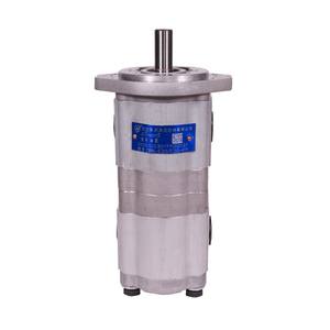 Bomba Hidráulica de Doble Engranaje Nueva HCHC Hefei Changyuan CBWL-F310/F304-ALP - Product Image 1