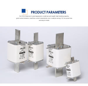 Офсетные метки, защита полупроводника, 100 А, быстрое соединение предохранителя, нейтральный - Product Image 5