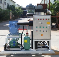 Nouveau produit machine à glace à lisier de pulpe 5T/24h pour la congélation de fruits de mer machine à glace