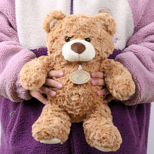 Peluche a Forma di Orso da 8 Pollici a Prezzo di Fabbrica, Giocattoli Morbidi Imbottiti 100% Poliestere, Antistress, Ideali per Feste - Product Image 1