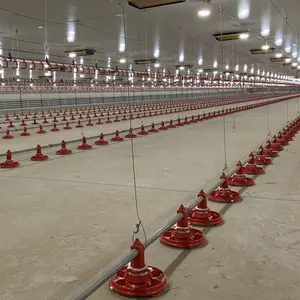 10000 Gevogelte Kip Huizen Feeder Machine Farm Fokken Apparatuur Kippen Automatische Vleeskuikens Voeden Pan Line Systeem 5000