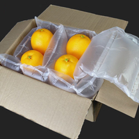 Emballage de coussin gonflable transparent personnalisé en usine, résistant aux chocs, avec chambre à air, coussin à bulles, sac à coussin avec ligne de déchirure