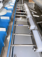Machine automatique de remplissage de gâteaux et de pains pour boulangerie, injection de confiture pour croissants avec trémie de 40L, haute productivité