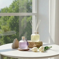 Bouteille diffuseur de parfum d'ambiance en verre écologique, sans alcool, longue durée, créative et personnalisée, vente en gros usine