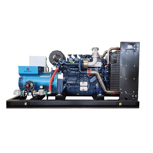 Grupo Electrógeno de Gas Pulita 100 200 250 300kw para Biomasa, Metanol y Gas Natural - Product Image 1