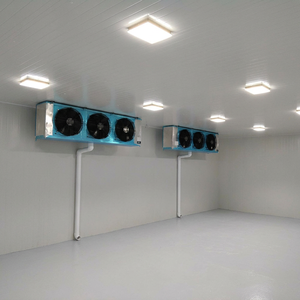 Cámaras Frigoríficas <span class=keywords><strong>ColdTech</strong></span> para Cerveza, con Puerta de Vidrio Insonorizada, Motor de Contenedor y Capacidad de Refrigeración de 10 Toneladas - Product Image 5